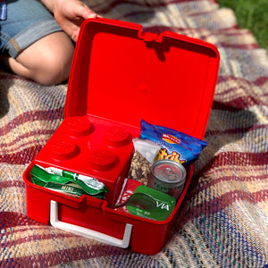 Personalised Dinosaur Pattern Retro Lunch Box